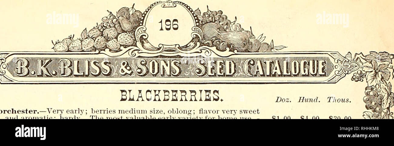 B K Bliss And Son S Illustrated Spring Catalogue And Amateur S - b k bliss and son s illustrated spring catalogue and amateur s guide to the flower and kitchen garden flowers catalogs